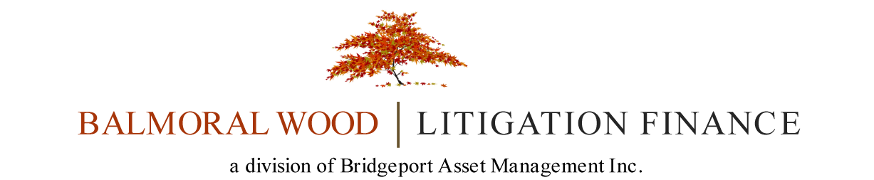 Balmoral Wood Litigation Finance